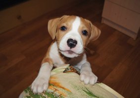 Было -  стало ...