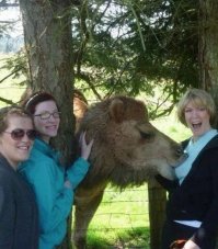 Любвеобильный слоненок пристает к симпатичной девушке