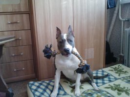 Ума Турман - 8 месяцев.