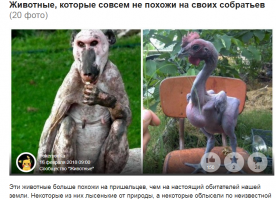 Да ладно дети Покемонов боятся, у нас на Фишках, взрослые мужики вздрагивают и крестятся когда PokemonKa очередной пост выкладывает -