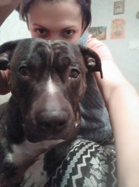 Спасибо за пост. Полностью согласна! Вот мой Лель. Тоже член семьи, ему скоро три года)