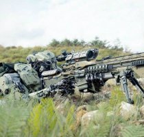 Как снайперы Балтфлота вели разведку в лесу