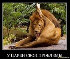 Как бы выглядели президенты США, если были бы женщинами