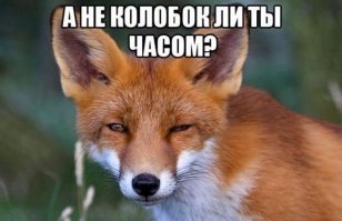За лису сразу плюс))и за пост и в карму)))можно было бы,прям соточки вкатил-бы)))