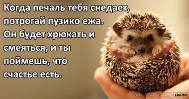 то-же смотрю..смотрел)))давай выздаравлюлькайдля настроеньица поднималка))