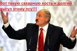 “Всё выглядело хорошо. Но всё было плохо!” Ночью пёс поднял хозяйку с кровати, рядом погибал ее сын