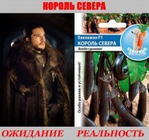 Зима близко. А зимой баклажан принесёт больше пользы, чем Д. Сноу.
