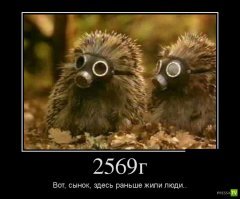 Субботние ФиШутки