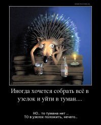 Субботние ФиШутки