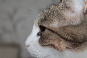 Моя красотка. Зовут Юля