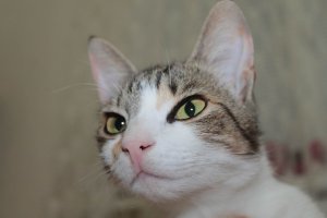 Моя красотка. Зовут Юля