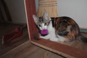 Моя красотка. Зовут Юля