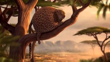 На следующий день он поймал зебру))