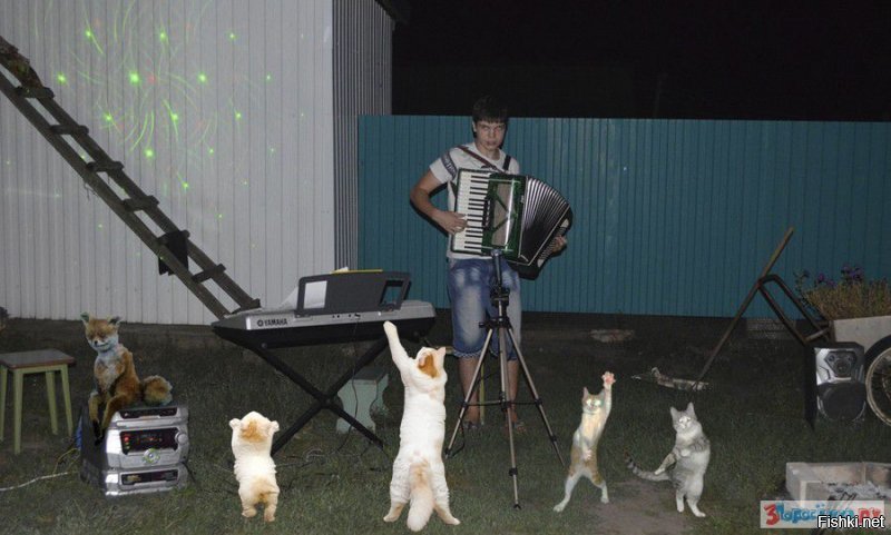 Субботние ФиШутки