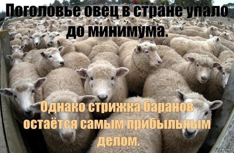 Нал..только нал