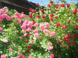 Красиво там..но зона пляжа маленькая- обидно.