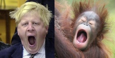 Скукота... Я спать.