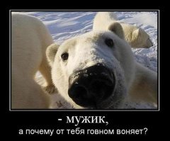 Передвижные консервы)