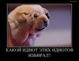 Покусились на святое!