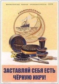 Как добывали черную икру в СССР на фотоснимках американского фотографа