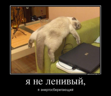 Свежая подборка демотиваторов, которые поднимут вам настроение