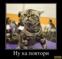 Свежая подборка демотиваторов, которые поднимут вам настроение