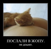 Свежая подборка демотиваторов, которые поднимут вам настроение