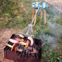 По нынешним временам любые, даже трижды съедобные грибы, отваривать обязательно.