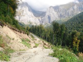 гора в черногории на гору на кавказе  -Фишт  похожа очень.
вот она