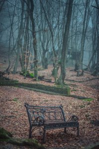 30 удачных мест, чтобы поставить скамейку