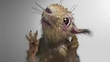 Такое впечатление, что писал пьяный в жопу гугл-транслэйт в перерывах между белками...