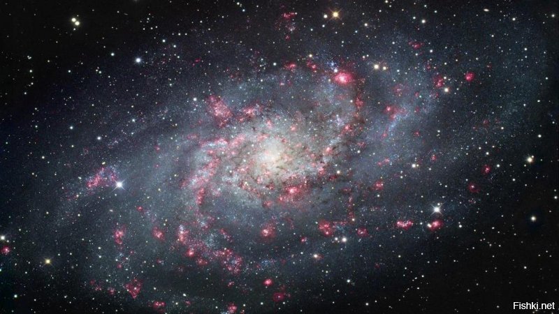 Галактику Треугольника М33 под Андромедой видно?
