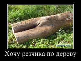 Откровения из жизни, соцсетиальные