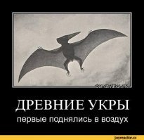 За то теперь он знает главное !