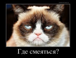 Мальчик рассмешил интернет своим письмом к Санте, полном безысходности