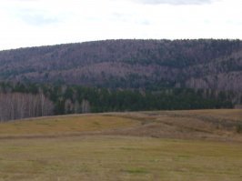 Мои с поездок по Красноярскому краю и Иркутской обл. Только у меня с автодорог из окна машины. Красиво там.