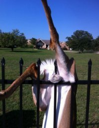 Что же случилось