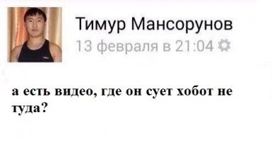 Любвеобильный слоненок пристает к симпатичной девушке