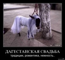 Свадебный кортеж со спецсигналами в Махачкале