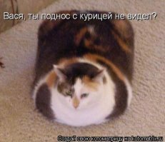 Картинки с надписями для настроения