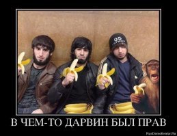 Вот это я понимаю толерантность