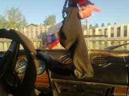 От химического носка и змеюка на торопедо окочурилась