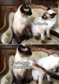 Картинки с надписями для настроения