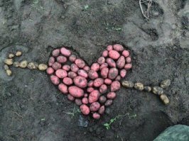 Картинки с надписями для настроения