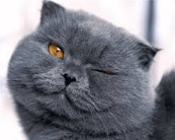 Картинки с надписями для настроения