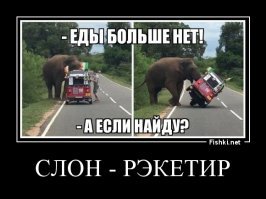 Гоп-слон :)