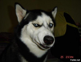 10-летний трансгендер дебютировал на Нью-йоркской неделе моды