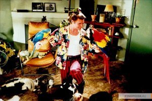 Фотоподборка за 19.02.2018