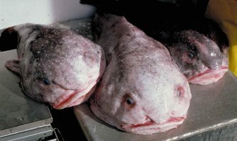 Картинки с надписями для настроения