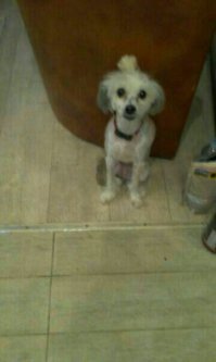 Картинки с надписями для настроения